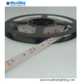 Alta CRI de alta luminosidad 2835 SMD LED Light Strip